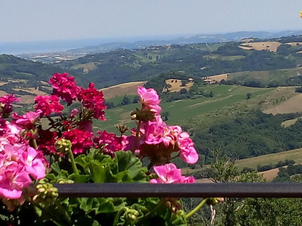 Albergo Diffuso - Il Poggetto Tra Urbino & San Marino Eksteriør billede